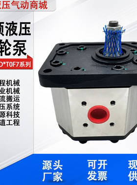 Boden博顿齿轮泵BHP3B1D26T0F7/BHP3B1D33T0F7/BHP3B1D46T0F7/50