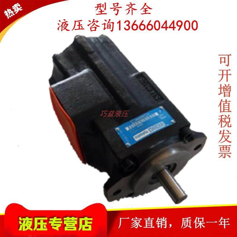 法国DENSION丹尼逊 T6DC 050/045/042/038/035/031 1R/2R/3R00 B1,五金/工具,压力泵,淘宝优惠券,粉丝福利购,淘宝优惠卷