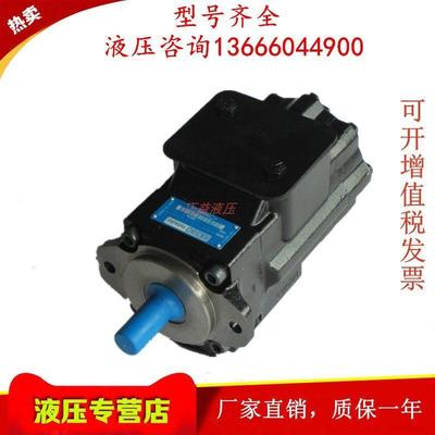 法国DENISON丹尼逊 T6DC 050 045 042 038 035 031 1R/2R/3R00 B1