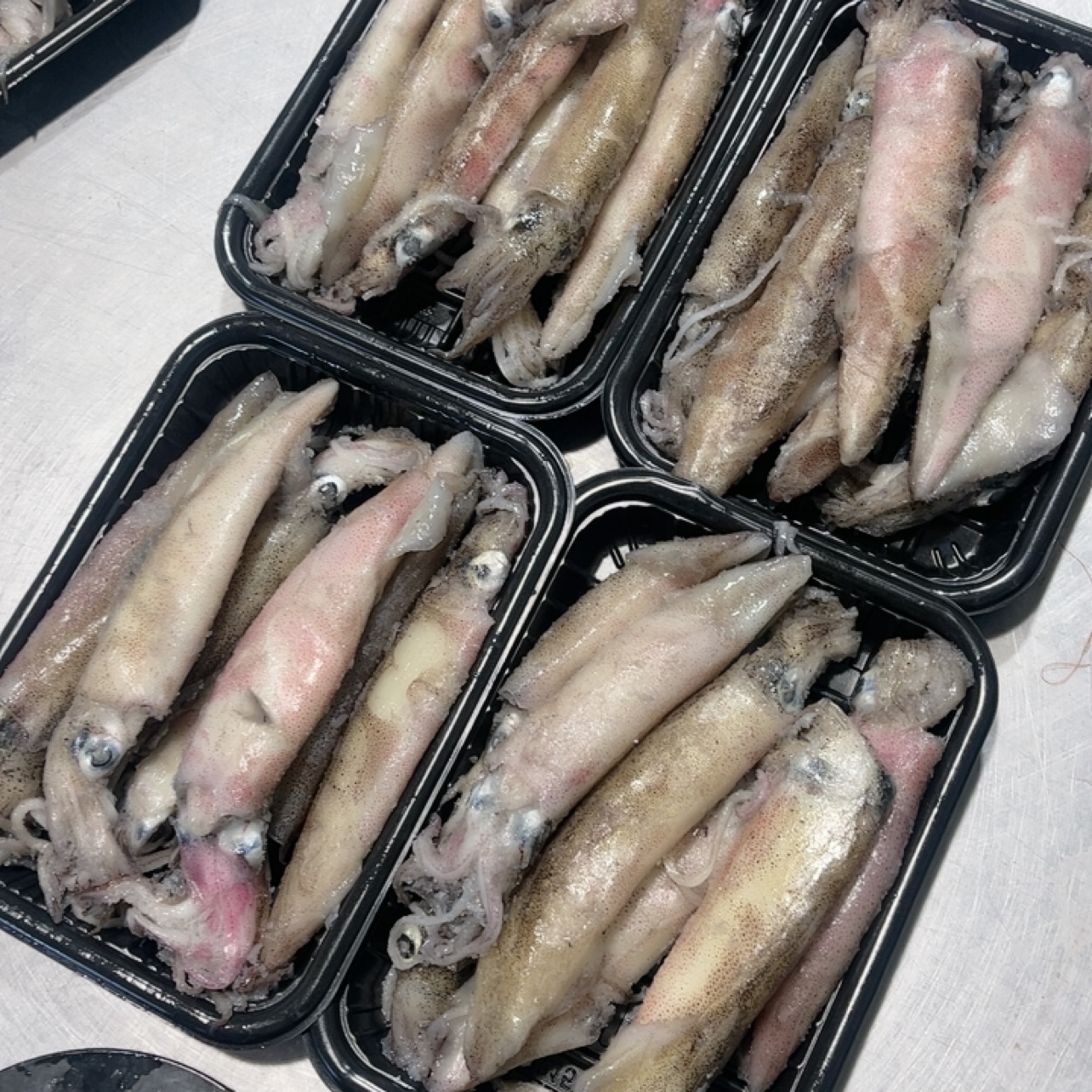 大大大大海兔4盒 每盒400克