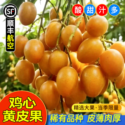 正宗鸡心黄皮果顺丰包邮新鲜现摘酸甜黄弹子大水果酱当季孕妇整箱