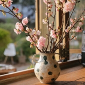 包邮 住在森林 枝叶绿植樱花海棠千层金南天竹柿子尤加利任2顺丰