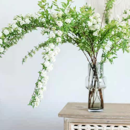 厚积薄发五谷丰登冬日雪柳鲜花