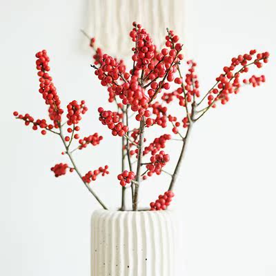 乐作|北美冬青邮政空运包邮真花