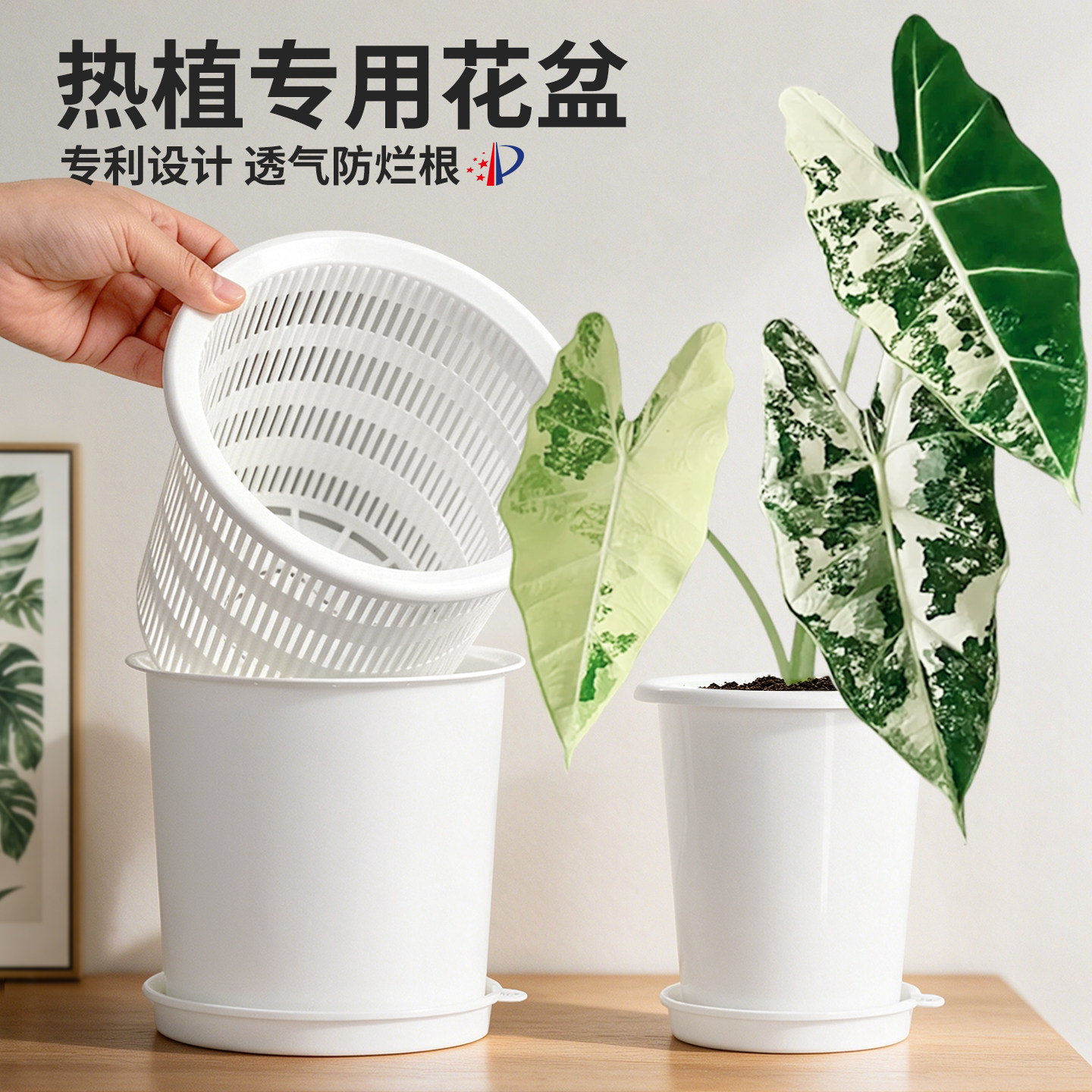 专利设计丨美莳双层热植专用盆