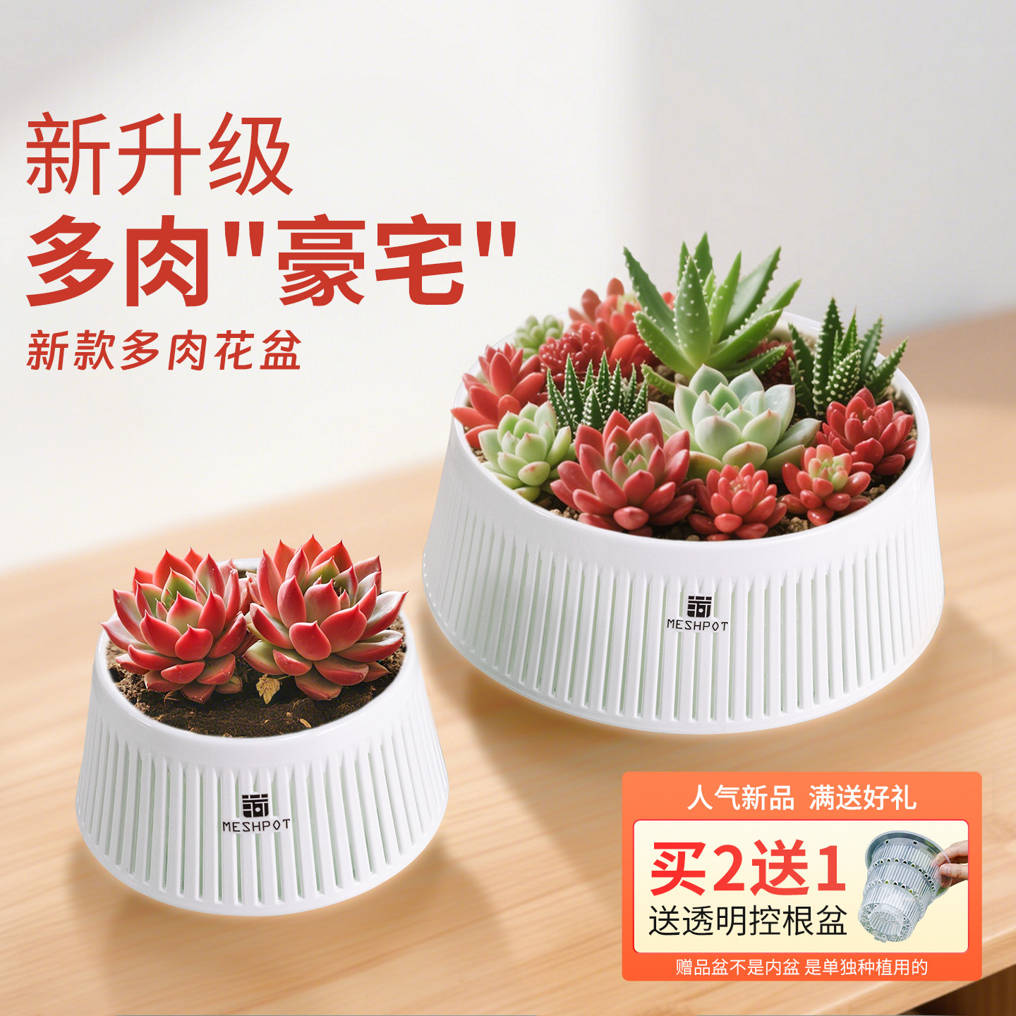 新款美莳多肉专用花盆大口径拼盘植物组合透气控根大号带托盘一体,鲜花速递/花卉仿真/绿植园艺,花盆,淘宝优惠券,粉丝福利购,淘宝优惠卷