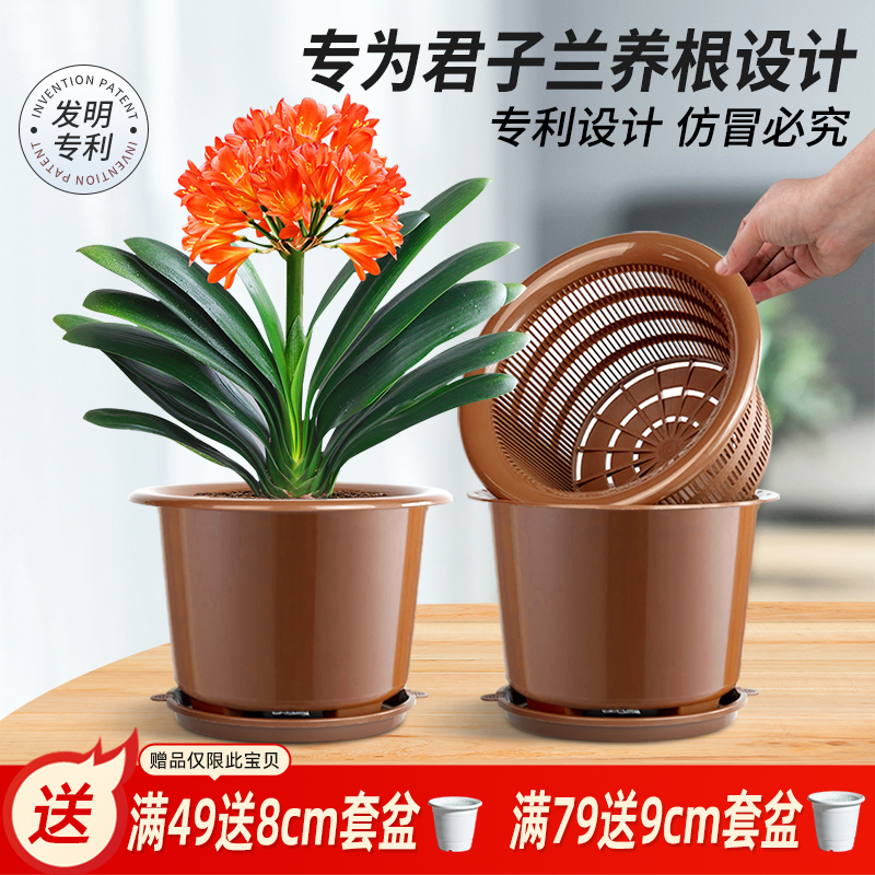 美莳双层君子兰专用控根花盆