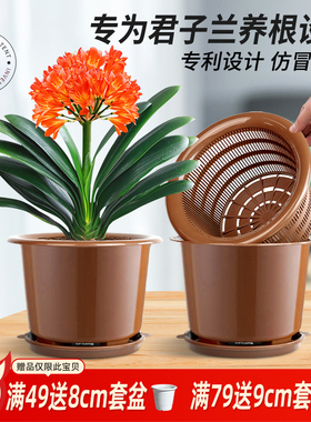 美莳双层养君子兰专用控根花盆透气超紫砂陶瓷塑料树脂盆栽土大号