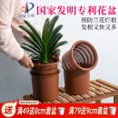 美莳君子兰专用控根花盆透气树脂塑料蝴蝶兰盆栽仿紫砂陶瓷兰花盆