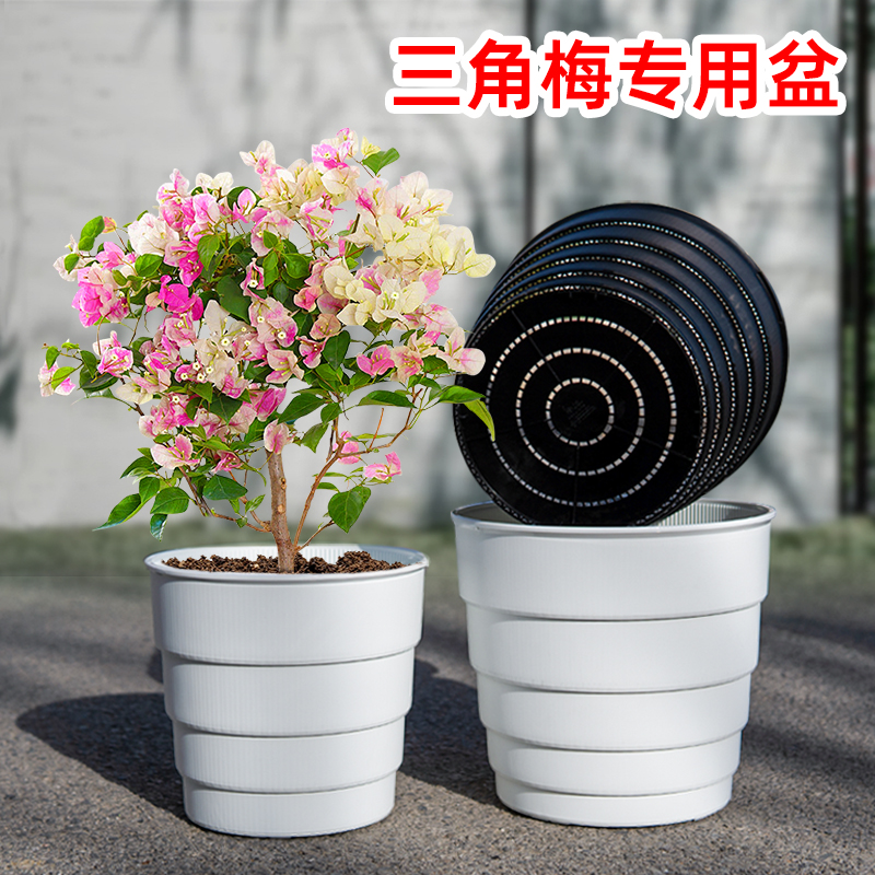 三角梅专用控根花盆树脂透气大号