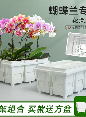 美莳蝴蝶兰专用花盆方形花架组合托盘托架透气水苔青山控根盆套盆