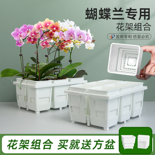 美莳蝴蝶兰专用花盆方形花架组合托盘托架透气水苔青山控根盆套盆