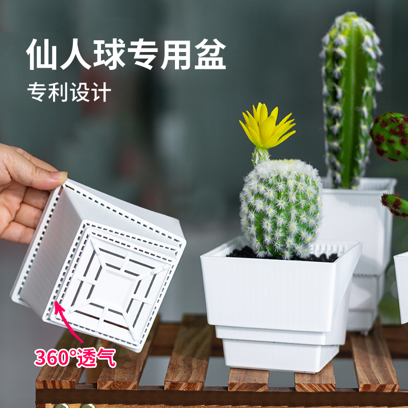 美莳仙人球专用花盆塑料大号金虎仙人掌透气超越陶瓷大口径控根盆