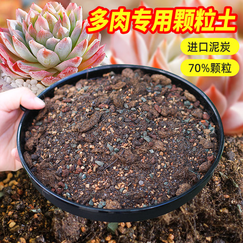 美莳多肉专用颗粒土营养土铺面石