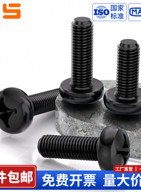 NS-1 黑色304不锈钢十字盘圆头螺丝钉加长螺栓螺杆M1.4M1.6M2-M10