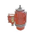 16T防爆葫芦主起升电机BZDX62 18.5KW锥形转子三相电机