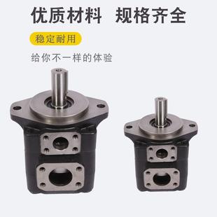 025 T6DC替代DENISON丹尼逊T6CC叶片T6ED油泵T6C 022 020 031 017