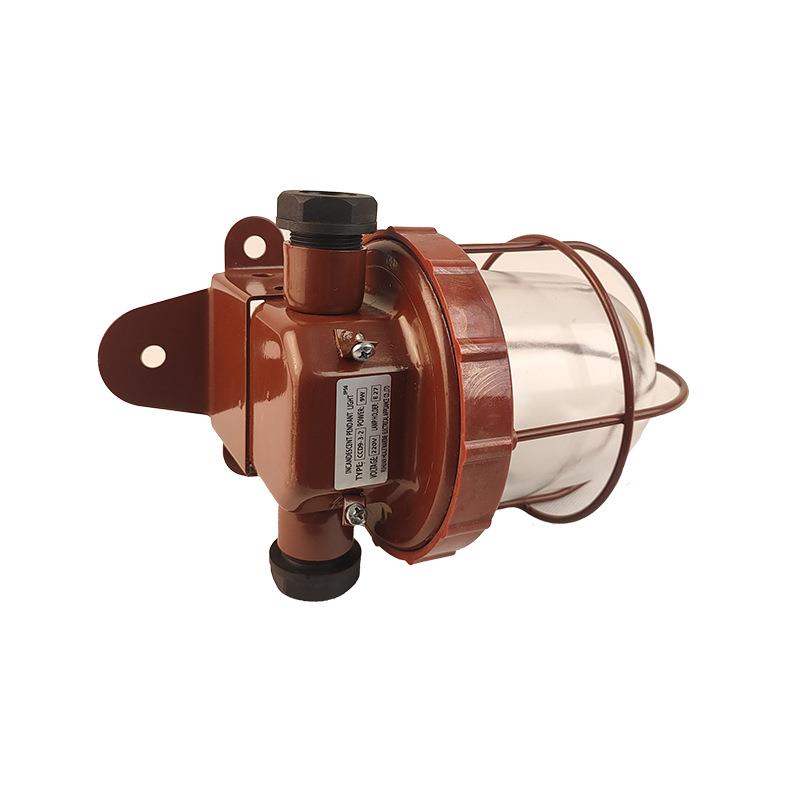 船用白炽舱顶灯CCD9-3-2 船用灯具 船用照明灯具