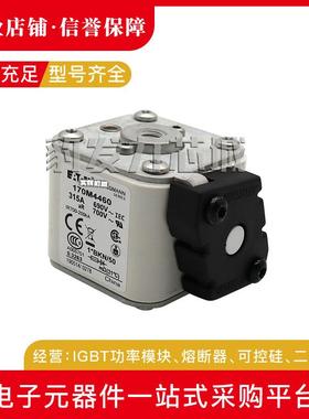 170M4693 170M4694 170M4695 170M4696 170M4697全新熔断器现货