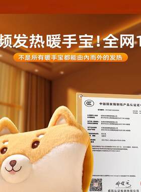 日本臻选电热水袋充电防爆热敷专用插电毛绒可爱热宝暖水袋暖宝宝