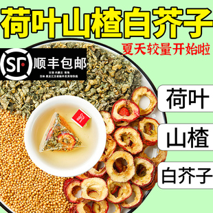荷叶山楂白芥子茶包正品柿子叶中药材官方旗舰店泡水煮水喝组合茶