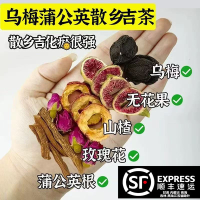 乌梅蒲公英根消消茶饮