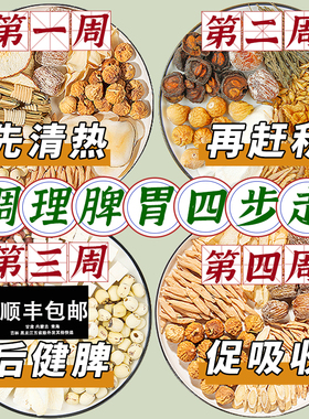 儿童四神汤太子参麦冬调理脾胃灯芯草清心成长鸡内金汤炖汤包