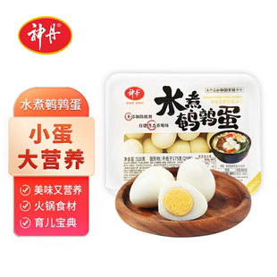 神丹去壳水煮鹌鹑蛋510g*2盒新鲜火锅串串麻辣烫烧烤食材鹌鹑蛋