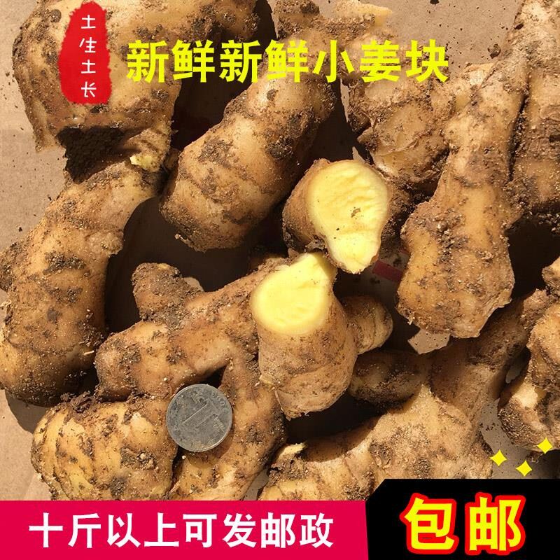 Shandong specialty ginger ginger Ginger month Ginger flavoring Produce Fresh vegetables 5 poundsin the Aquatic meat/Fresh fruits and vegetables/Cooked , Fresh vegetables/Vegetable products , Ginger  category - from Buy2taobao.com to provide professional Taobao agent buy service