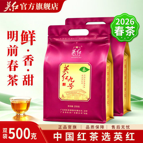 英红九号春茶大分量250g