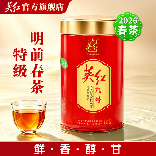 【2026明前春茶】特级英红九号红茶三月春英德红茶罐装自饮共138g