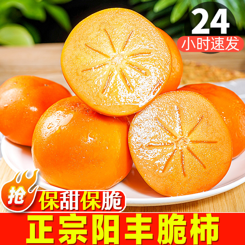 【官方推荐】脆甜不涩脆柿子