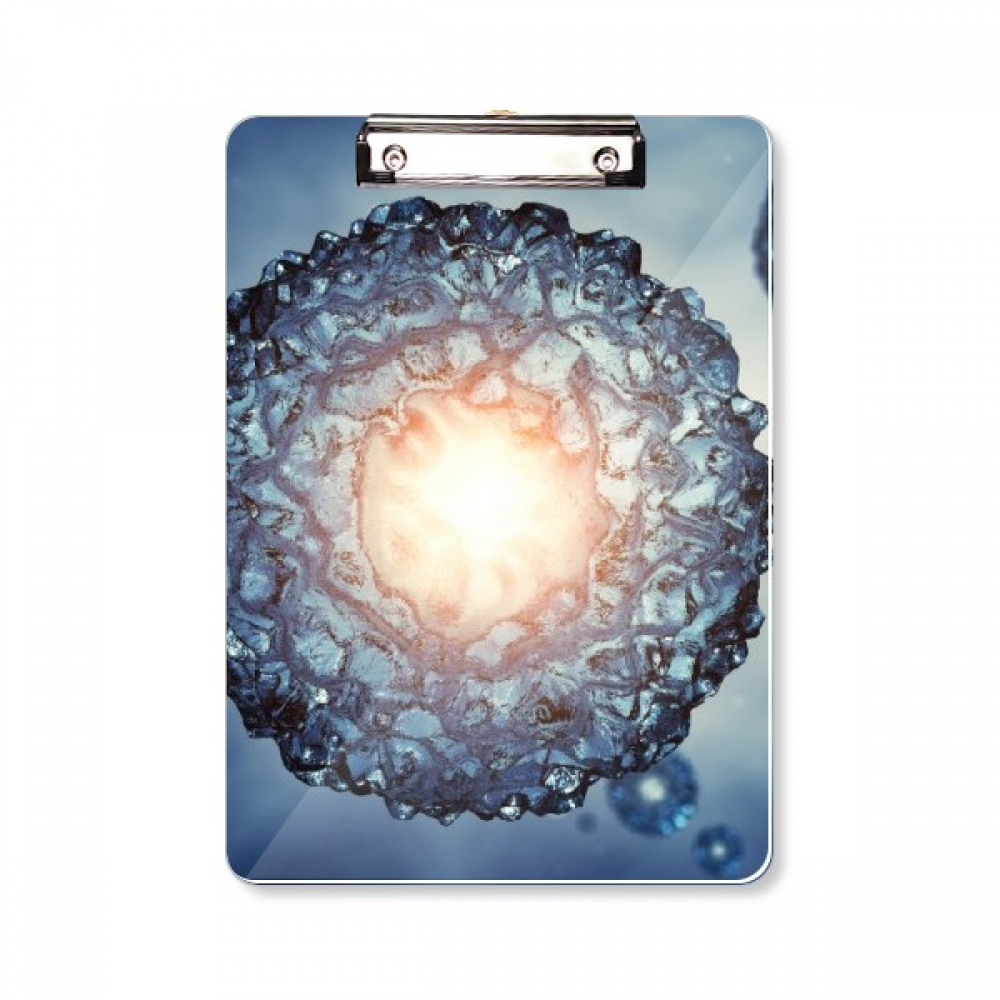 微观细胞图案插画平头文件夹书写垫板考试a4板夹纸夹子