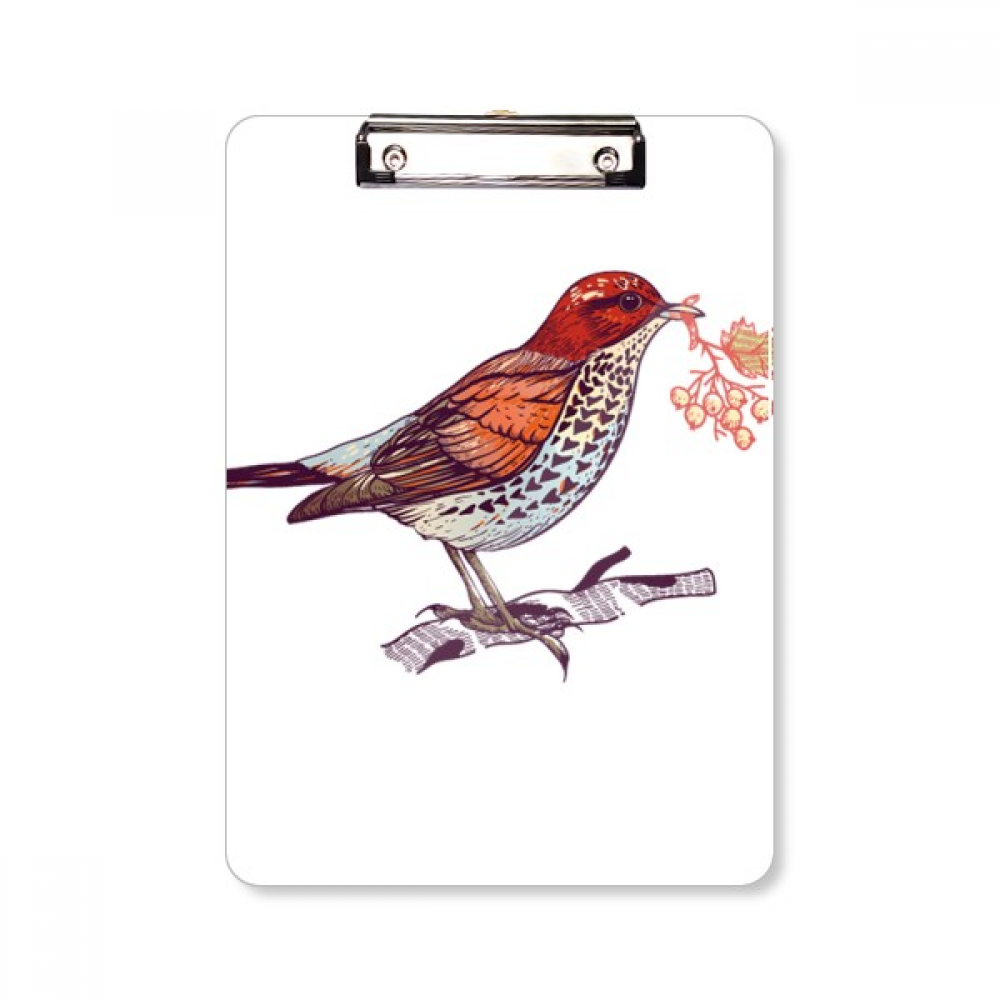 鸟叼果实站在树枝上平头文件夹书写垫板考试A4板夹纸夹子,居家日用,书写板,淘宝优惠券,粉丝福利购,淘宝优惠卷