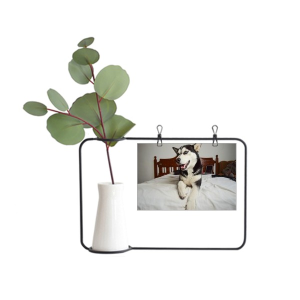 房间哈士奇狗动物金属相框陶瓷花瓶装饰假花仿真花创意卡片ins,鲜花速递/花卉仿真/绿植园艺,仿真花,淘宝优惠券,粉丝福利购,淘宝优惠卷