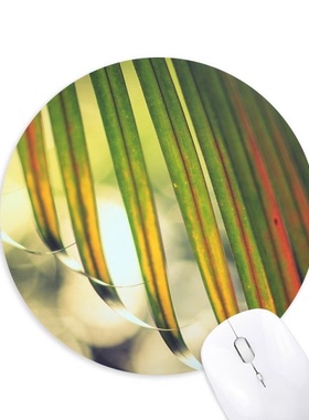 太阳光线叶子图片圆形游戏办公防滑橡胶鼠标垫礼物定制胶垫定做