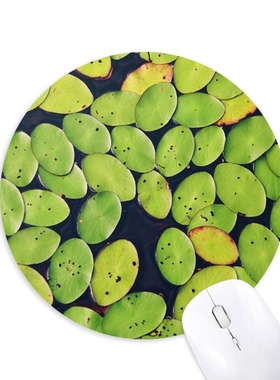 娇嫩植物叶水面图片圆形游戏办公防滑橡胶鼠标垫礼物定制胶垫定做