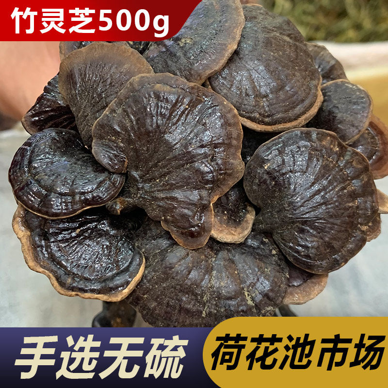 野生竹灵芝500g