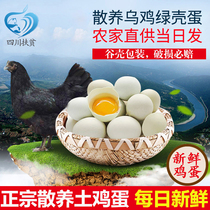 四川扶贫绿壳乌鸡蛋实发30枚农家土鸡蛋谷物新鲜粮食散放养