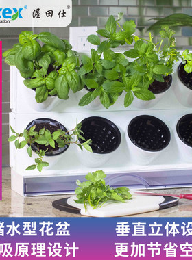新款自动吸水种菜神器懒人花盆