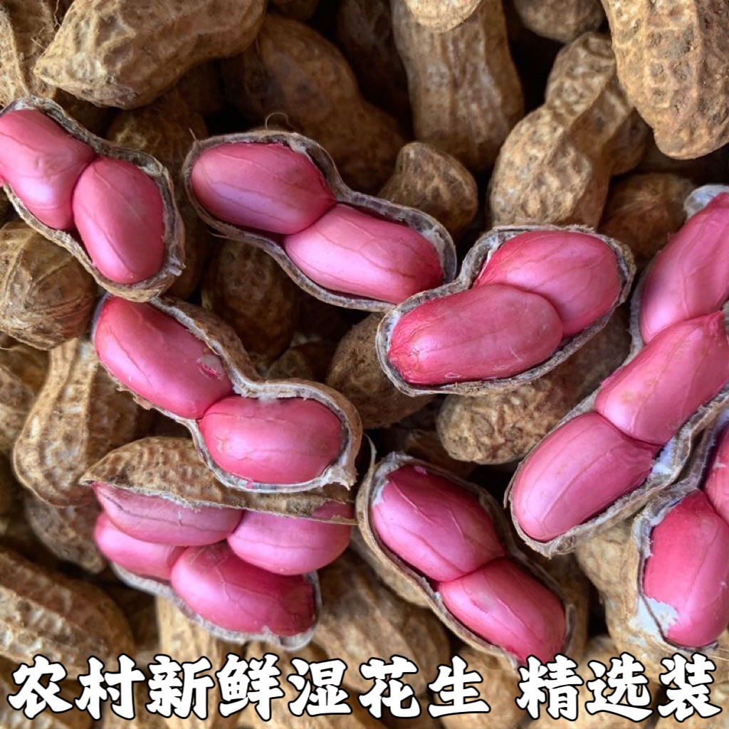 2024年湖北新鲜湿花生带壳带泥红皮红米花生现挖花生可水煮生吃