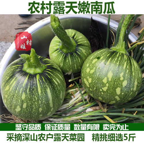 新鲜嫩南瓜小南瓜农家自种菜南瓜嫩瓜自然南瓜本土蔬菜5斤装