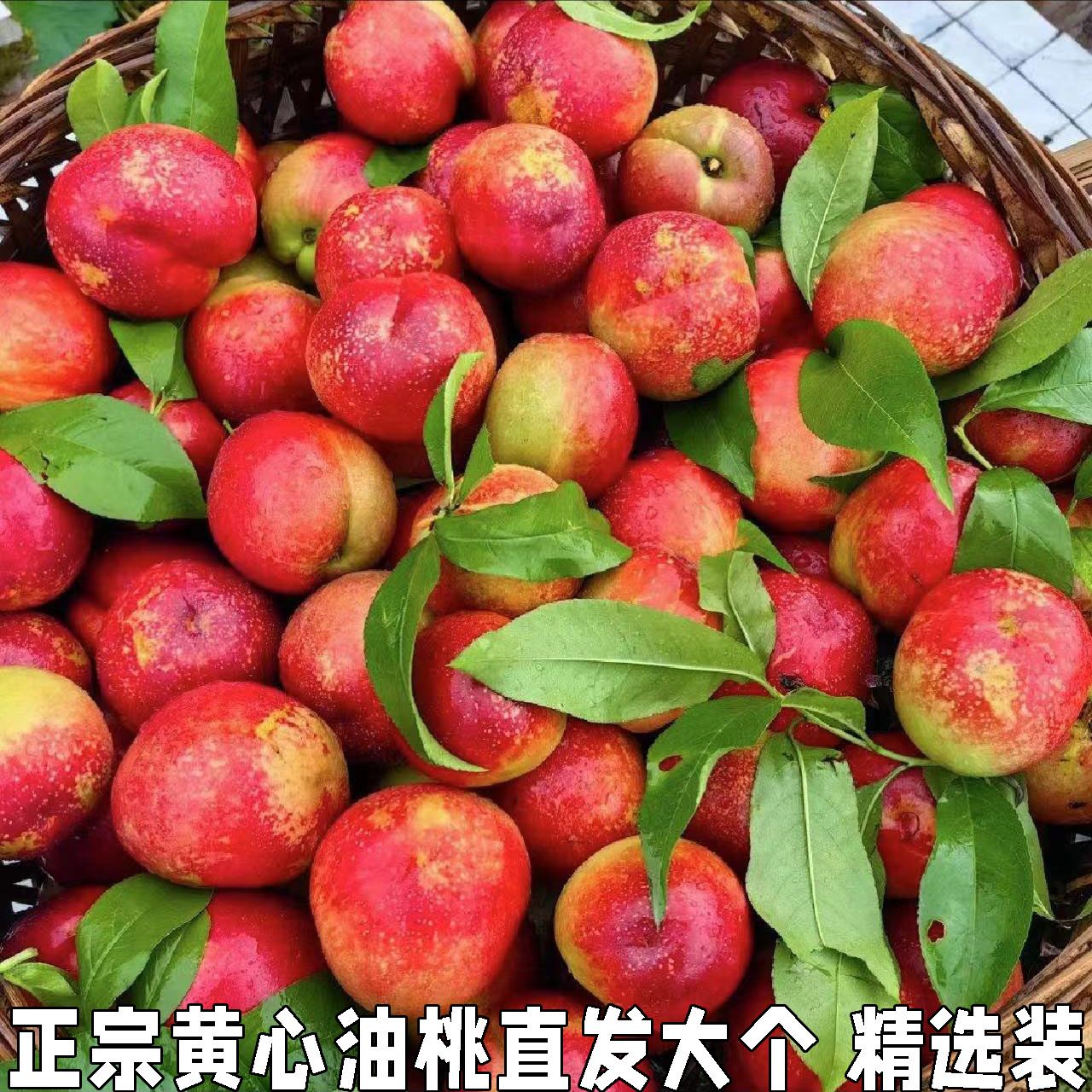 黄心油桃应季大桃子当季水果