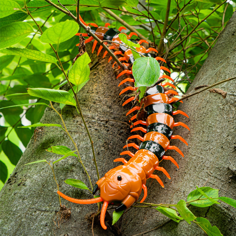 儿童解压玩具仿真遥控蜈蚣蛇小男孩3一5岁网红抖音同款黑科技动物