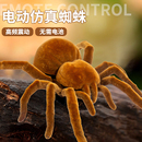 电动感应蜘蛛爆款 黑科技网红儿童玩具男孩小女孩创意整蛊解压神器