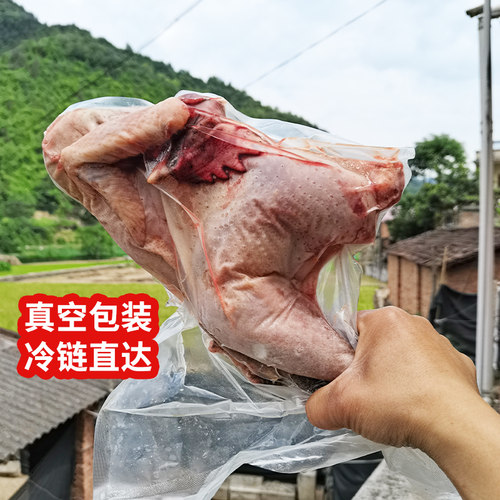 贵州农家散养跑山鸡本地老母鸡现杀土鸡纯粮虫草鸡童子鸡顺丰包邮