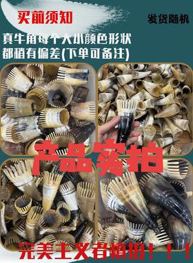 厂家水牛角梳洗头皮发部