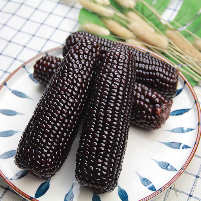 头茬黑糯玉米当季东北鲜食玉米粘糯香甜即食玉米棒真空装8穗