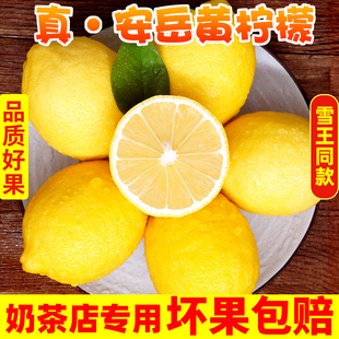四川安岳黄柠檬泡水新鲜黄柠檬柠檬水奶茶店专用一级鲜果皮薄多汁