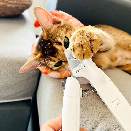 PETKIT猫咪指甲剪钳专用